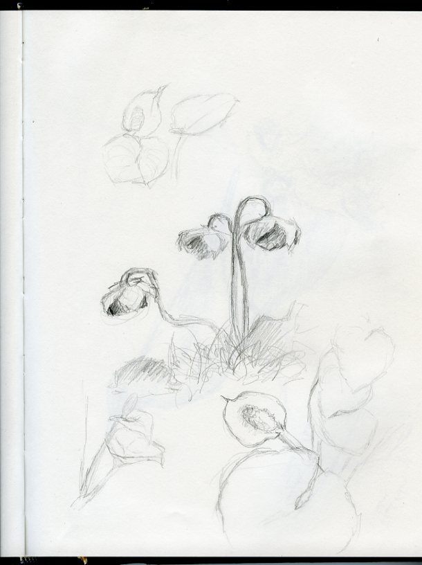 sketches043 Sunday Sketches