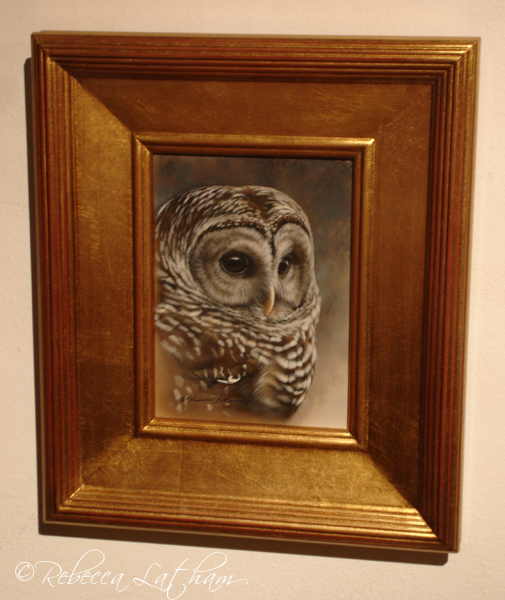 Wisdom - Barred Owl, watercolor on board, 6in x 8in - framed wisdomframed Masterworks in Miniature 2012